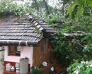 Monsoon fury; banyan tree uproots on house near Belman